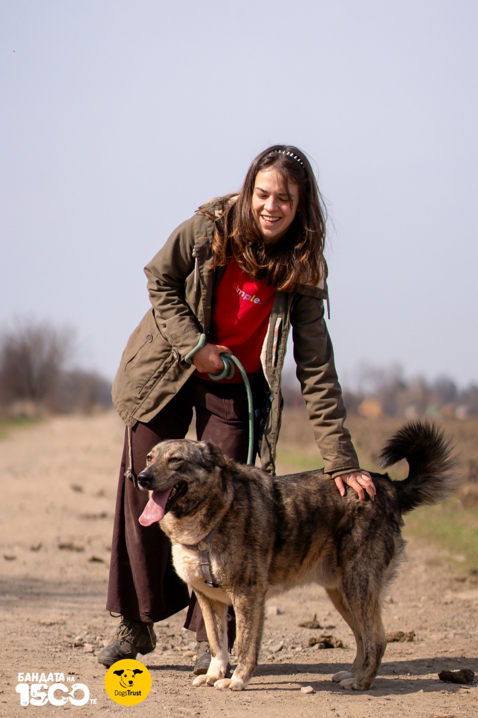 момиче гали голямо сиво куче