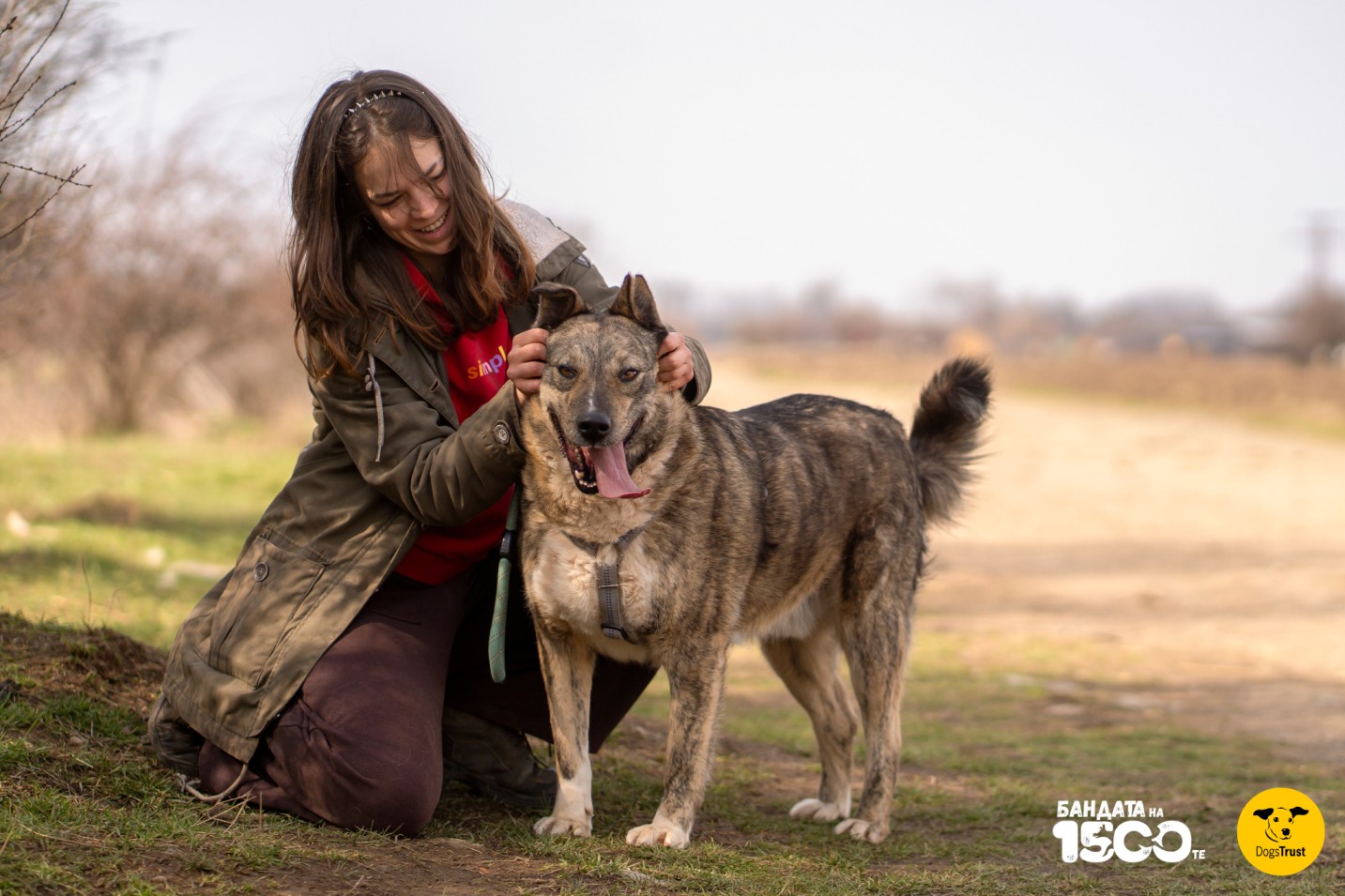 момиче гали голямо сиво куче