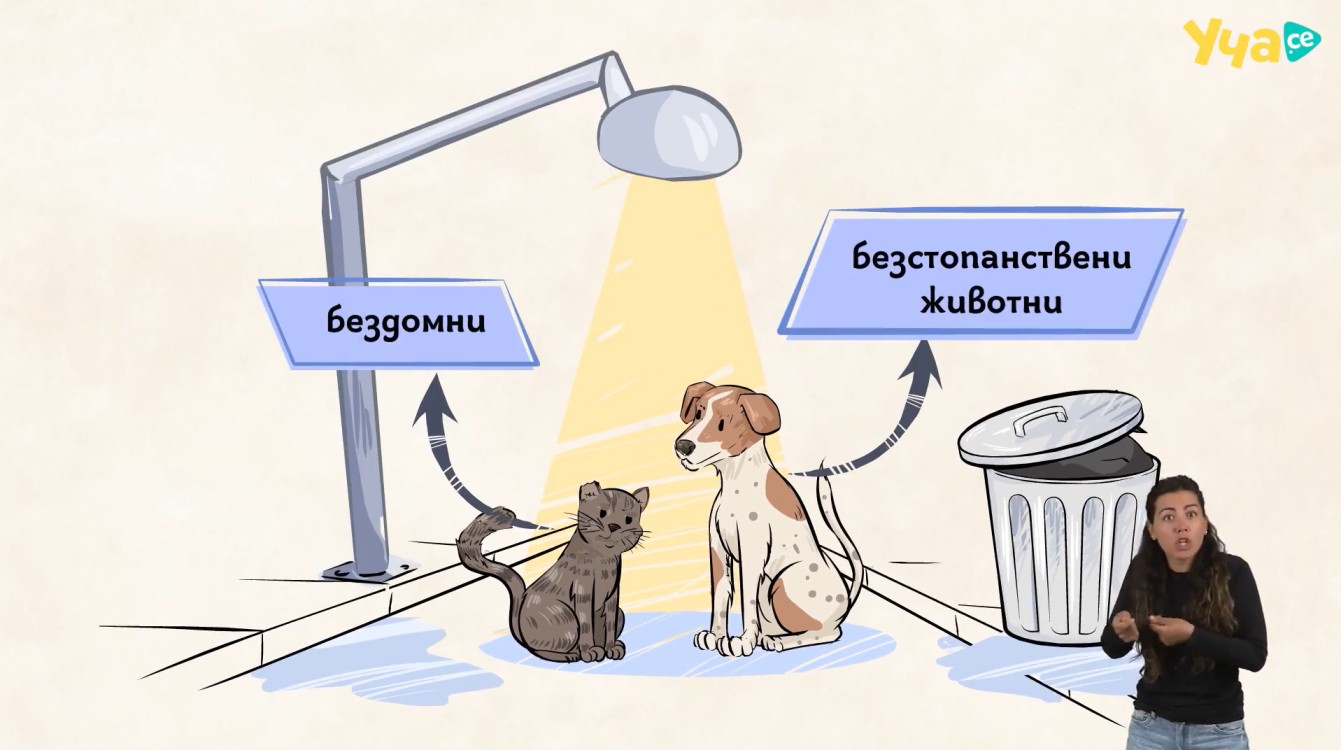 бездомни животни
