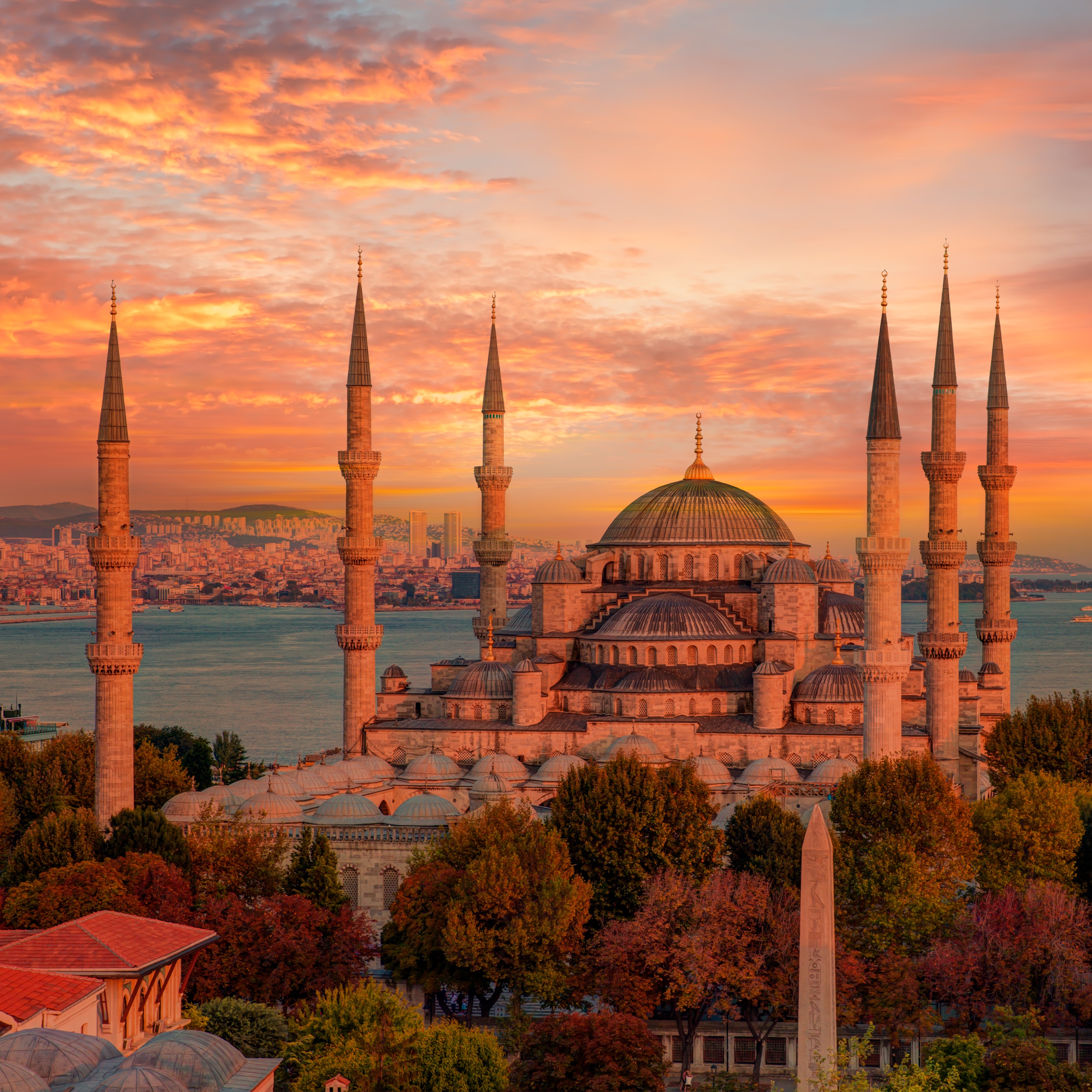 European Society for Vascular Surgery Annual Meeting 2025