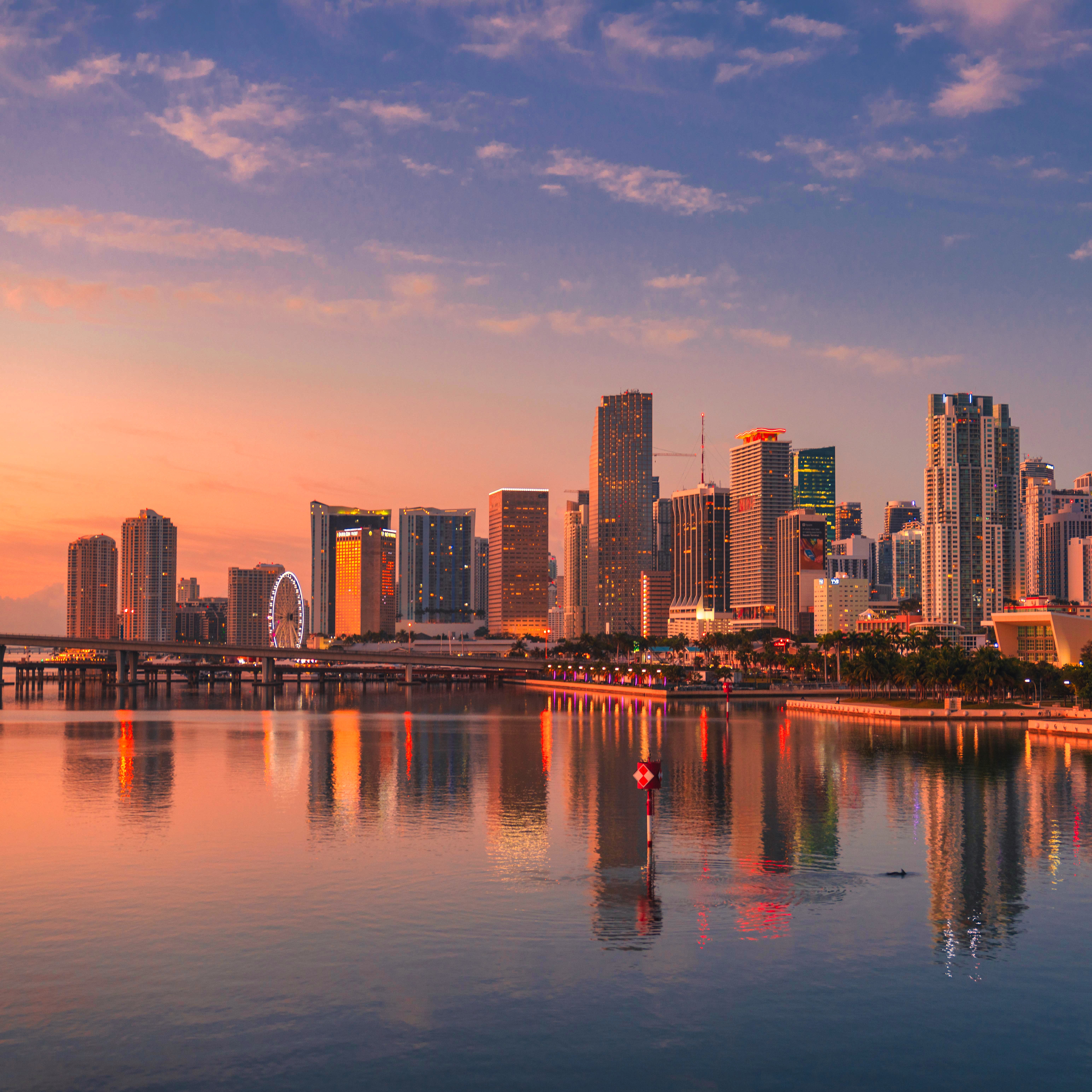 Miami ISMICS Medistim