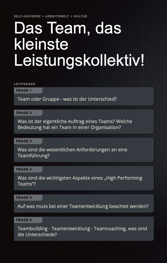 Self-Universe Ansicht