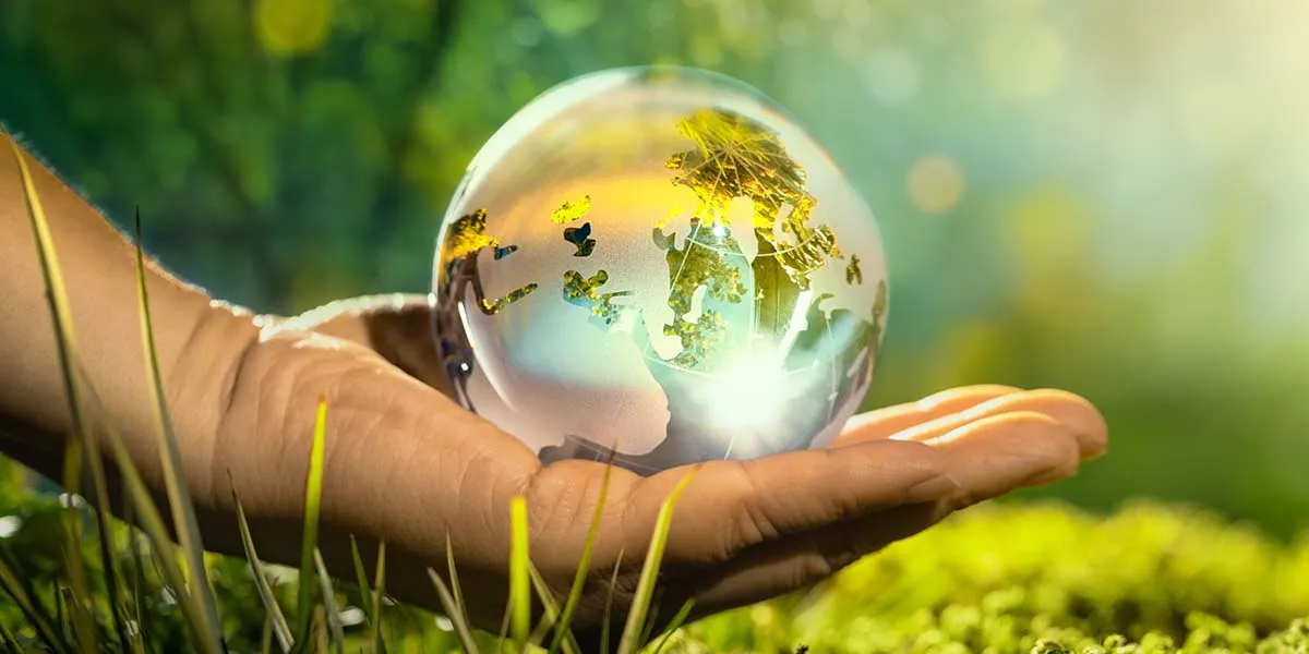 Environmental Sustainability Training Environmental Sustainability Training