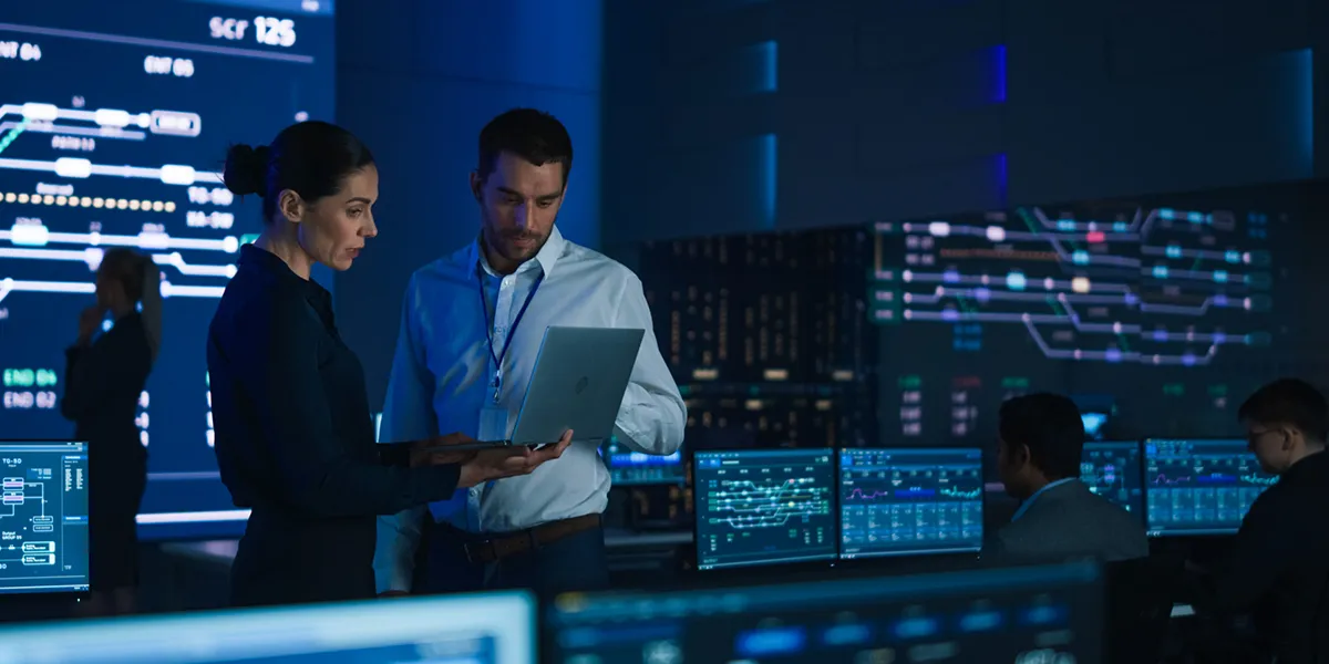 Corporate Enterprise Architecture Training Program