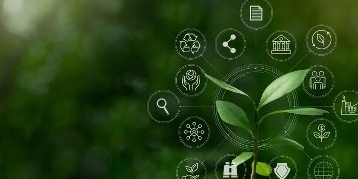 Corporate Environmental Compliance Training Program