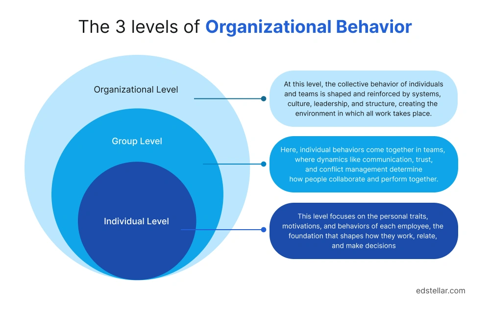 Three-Level Framework Of Organizational Behavior