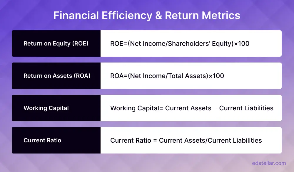 Financial Efficiency & Return Metrics