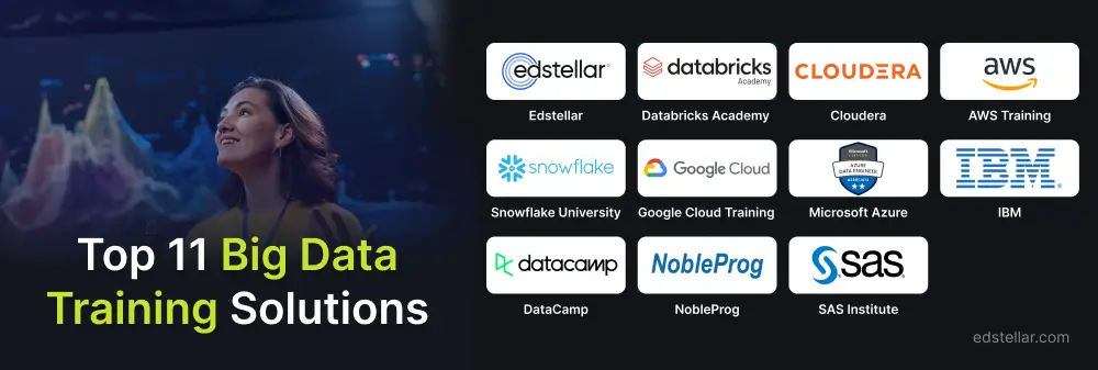 Top 11 Big Data Training Solutions