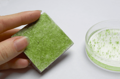 Three co-founders in business meeting room