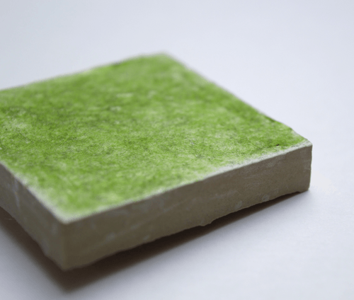 Architectural sketch of modern home, with green foliage on the exterior walls