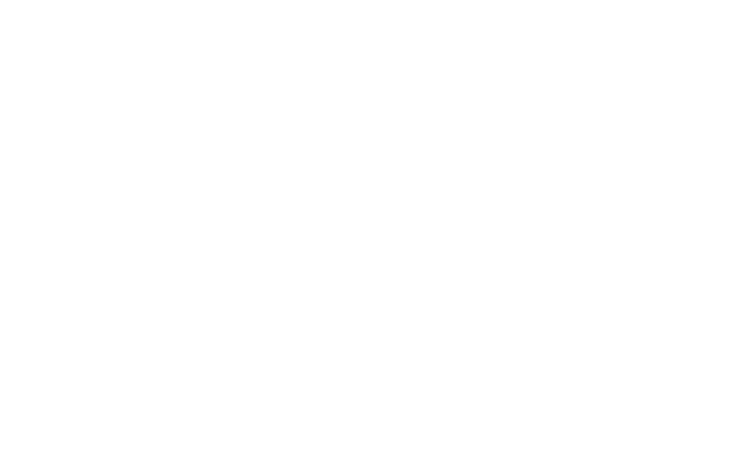 Partner 4
