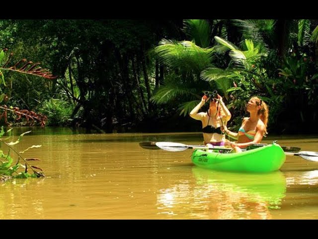 Puerto Viejo Costa Rica River & Ocean Kayak Tour
