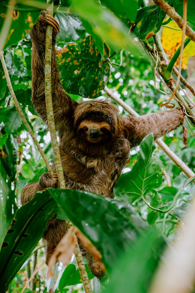 Click here to visit this Travel Recommendation page.