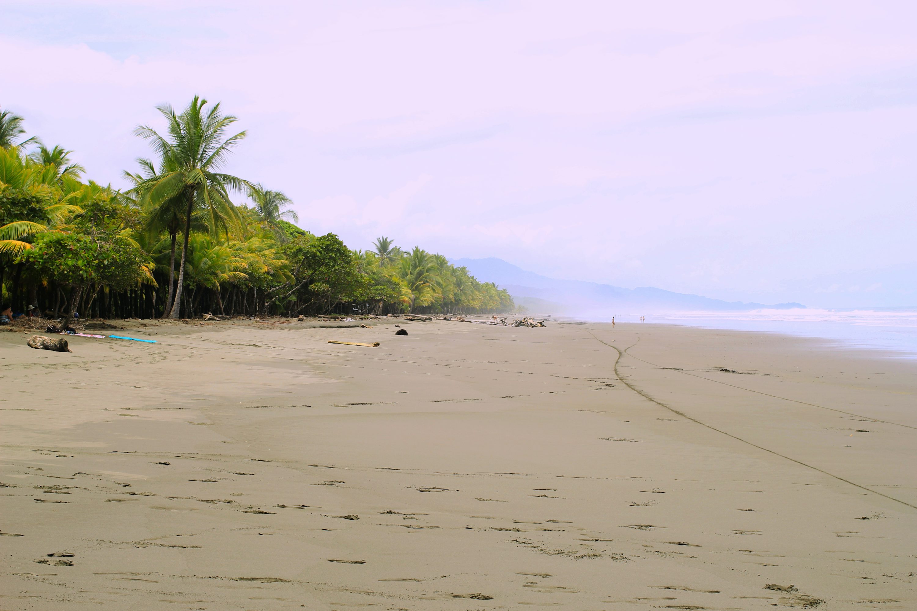people on beach during daytime