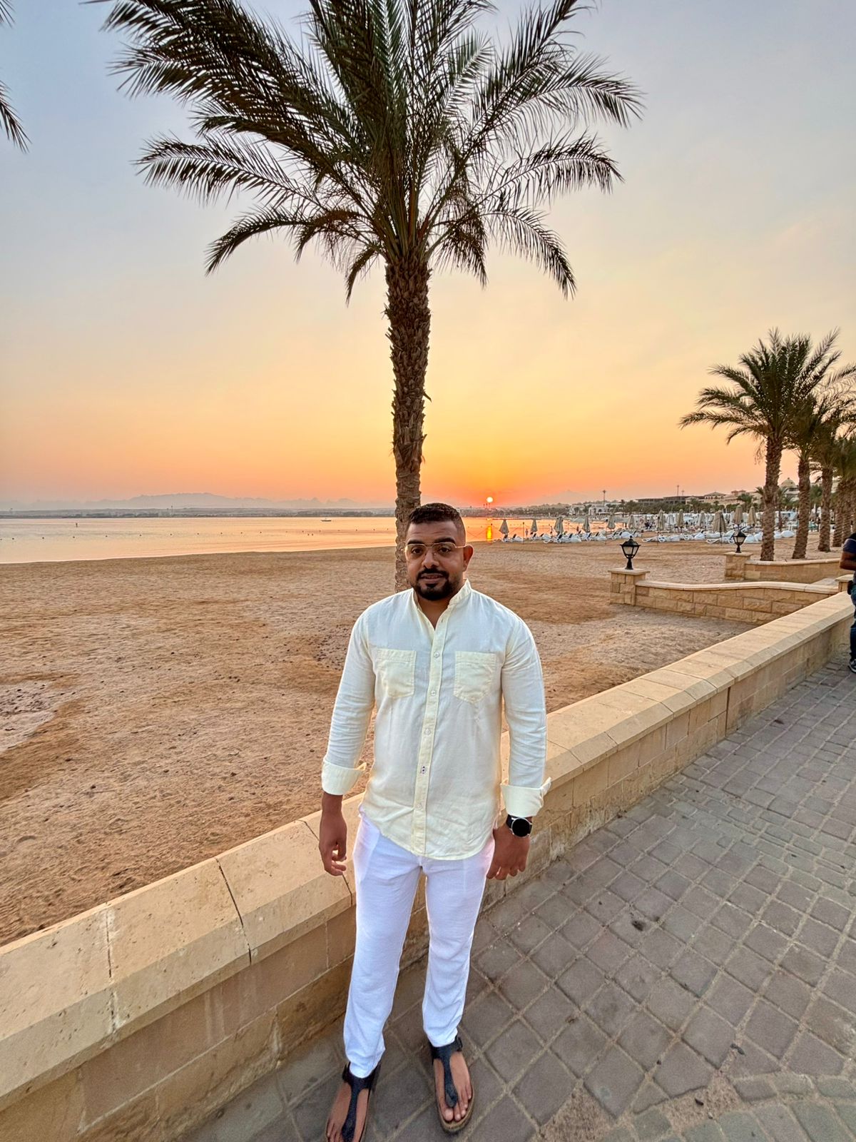 Click here to visit this Author's page.