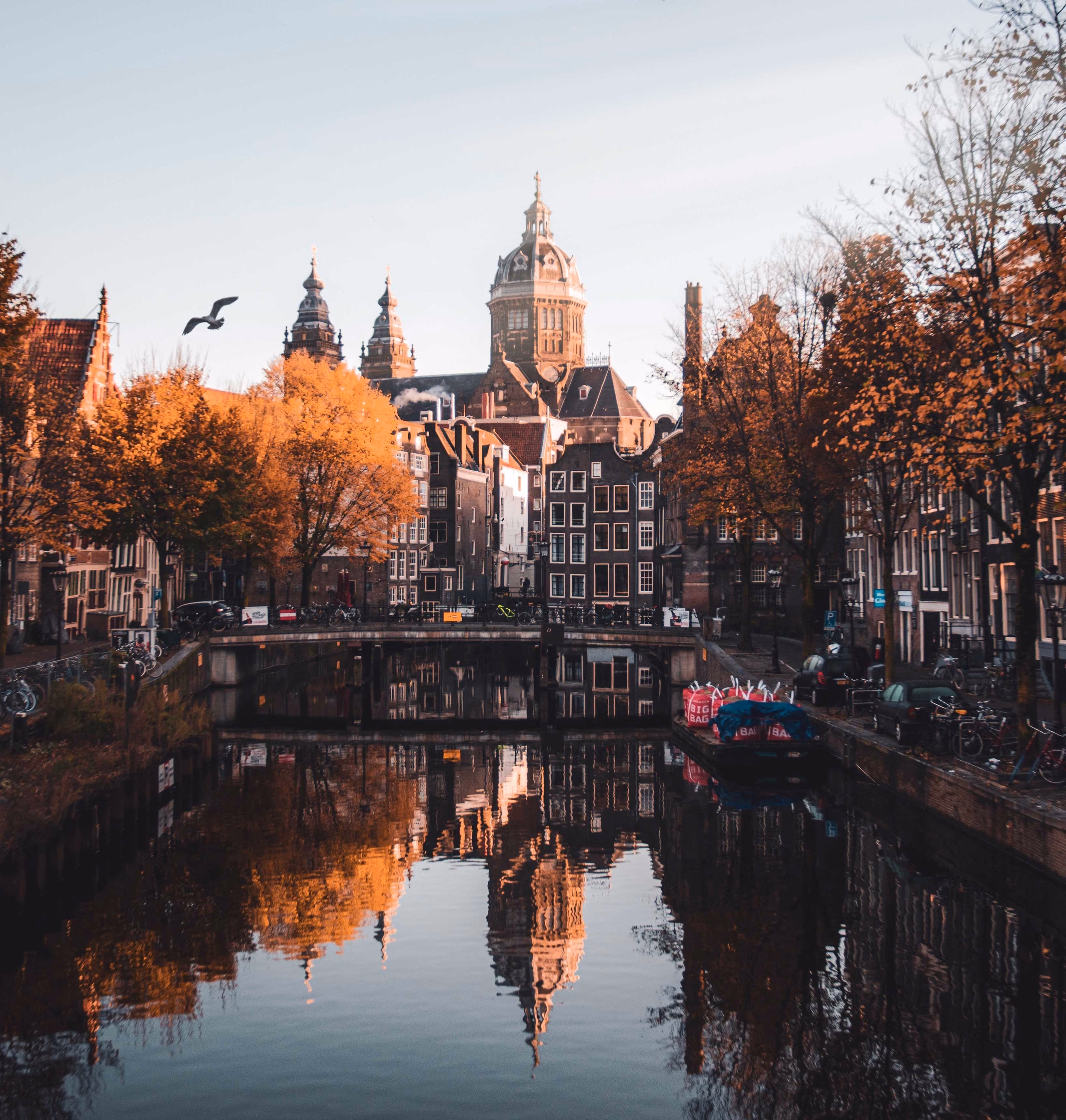 Netherlands ShipOffers location