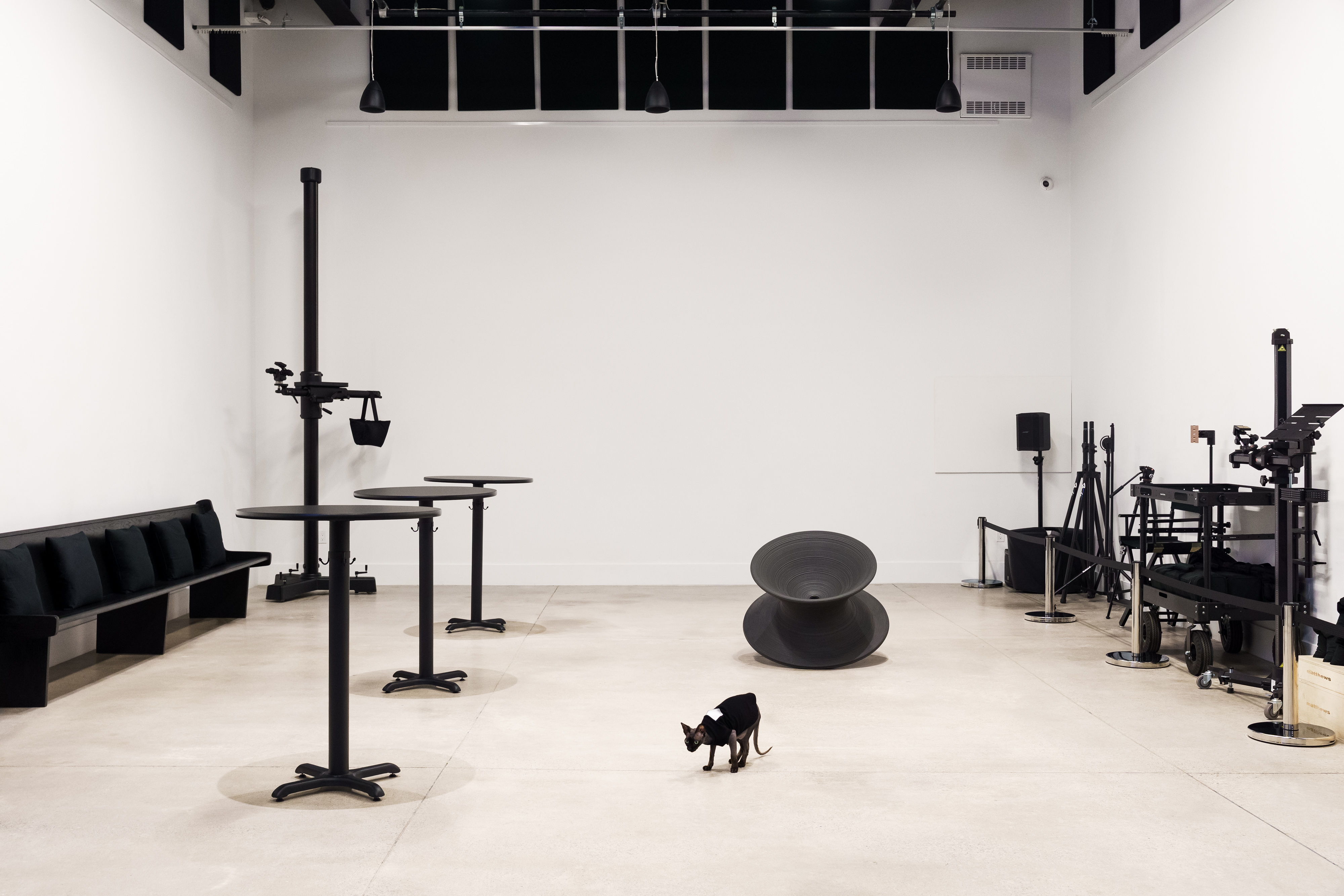 Geary running amok in Multipurpose Photo/Video Studio + Private Events space