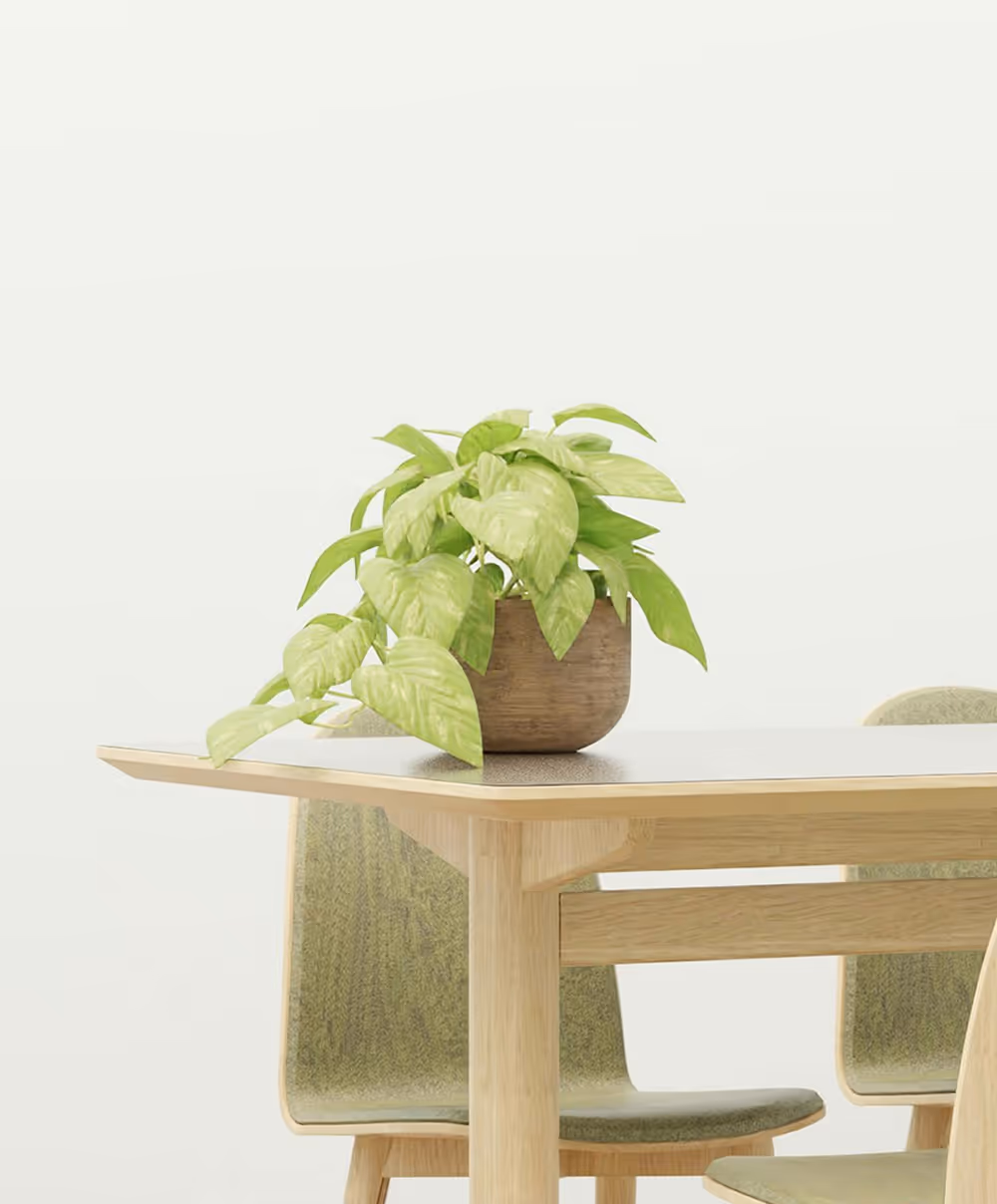 https://www.tanovicenterijeri.com/