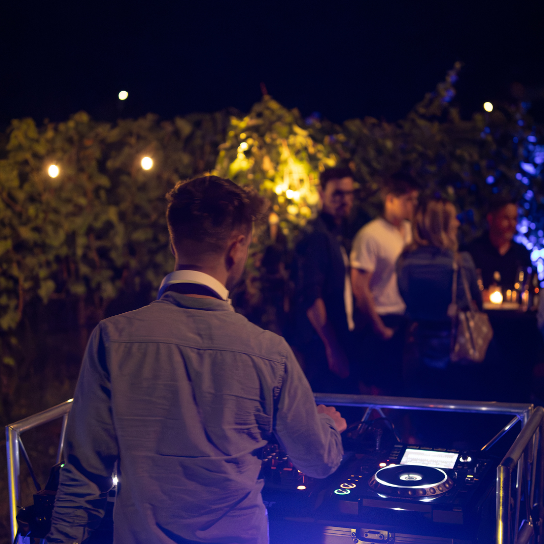 Dj und Sommerparty
