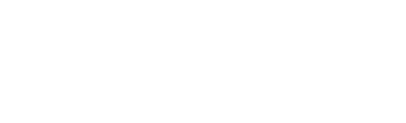 Air India Express Logo