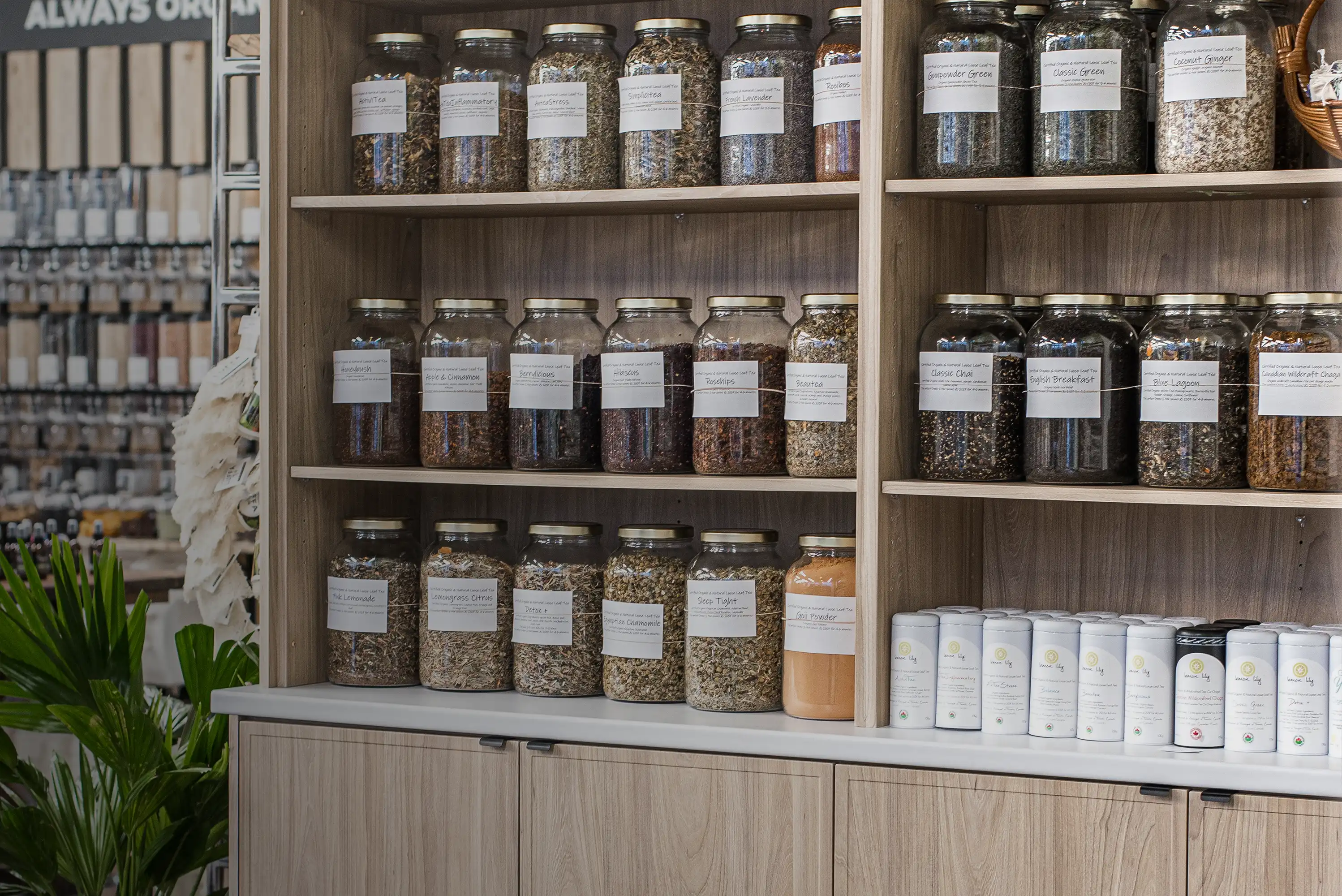 Commercial Interior Design Luminate project of store space.