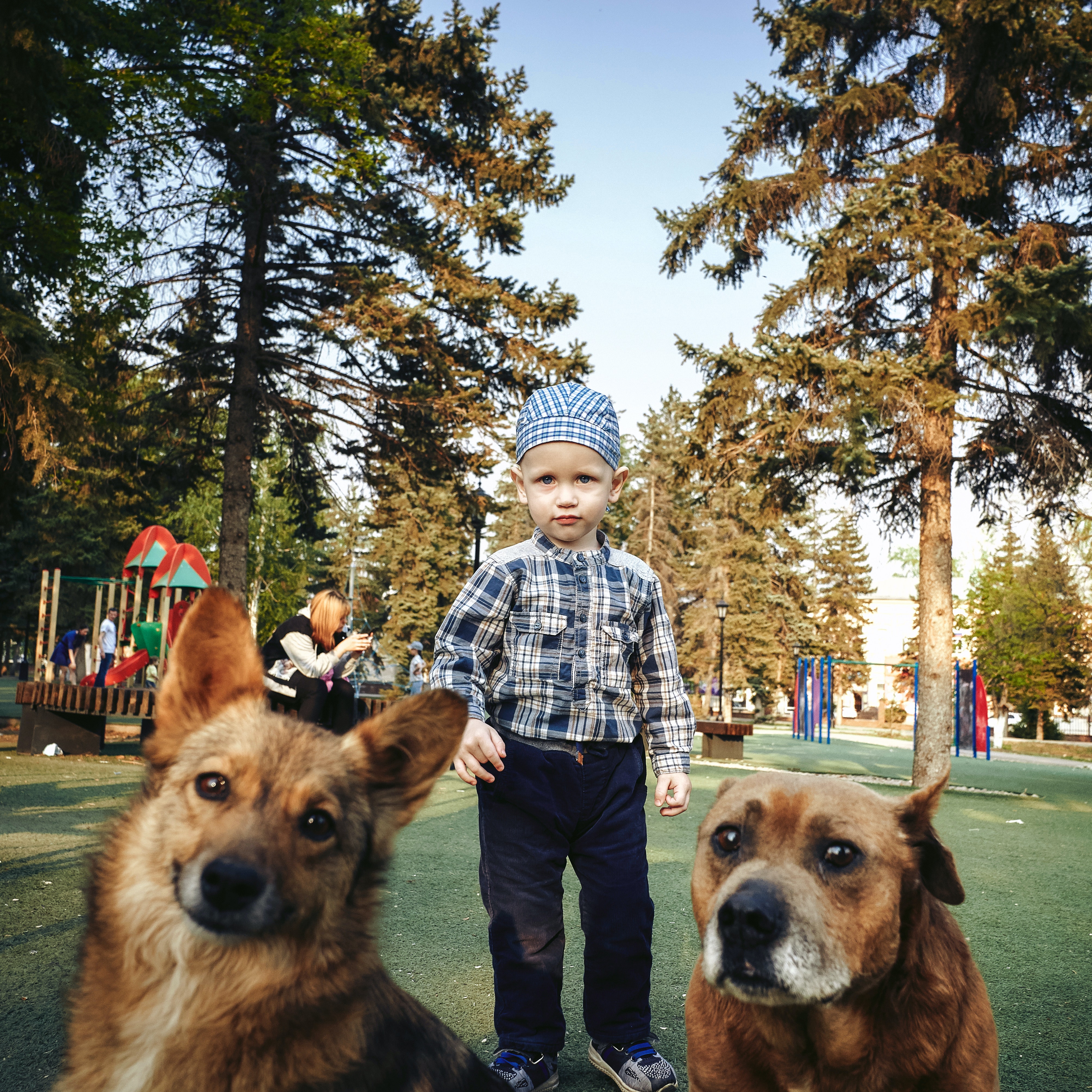 The Importance of Socializing Your Dog