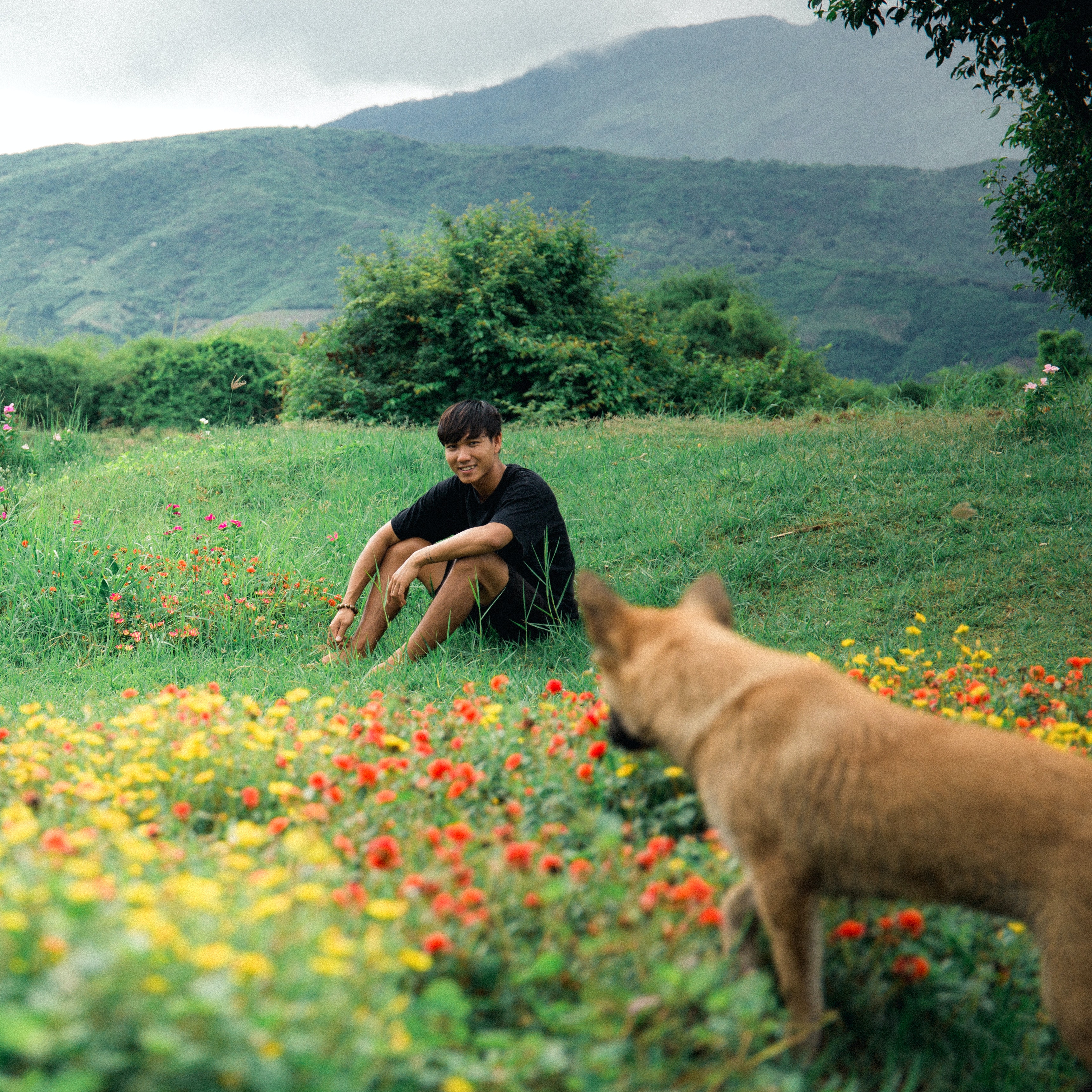 Heat Stroke in Dogs: Prevention and Treatment