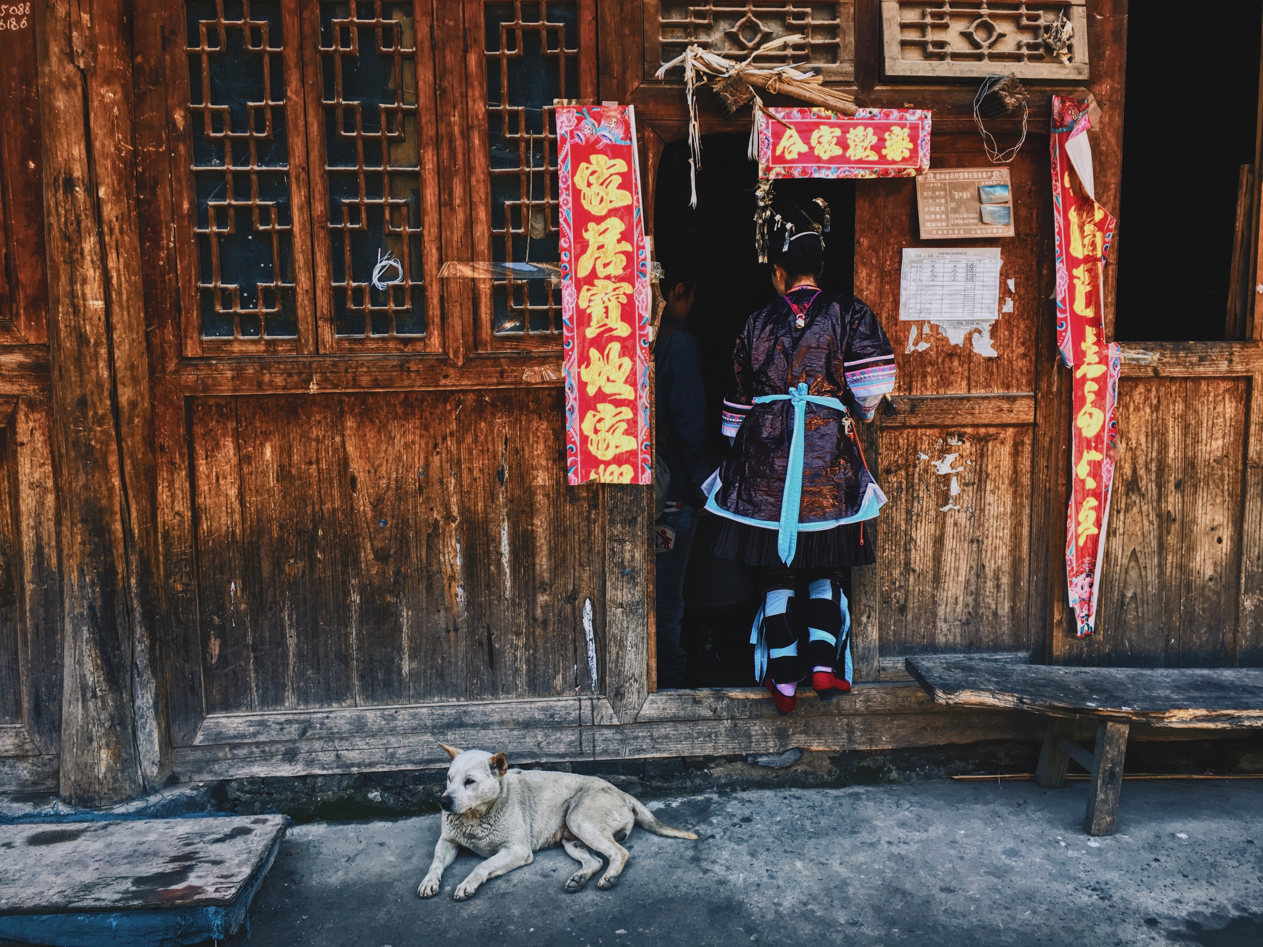 Dogs in Art and Culture: Canine Representations Throughout History