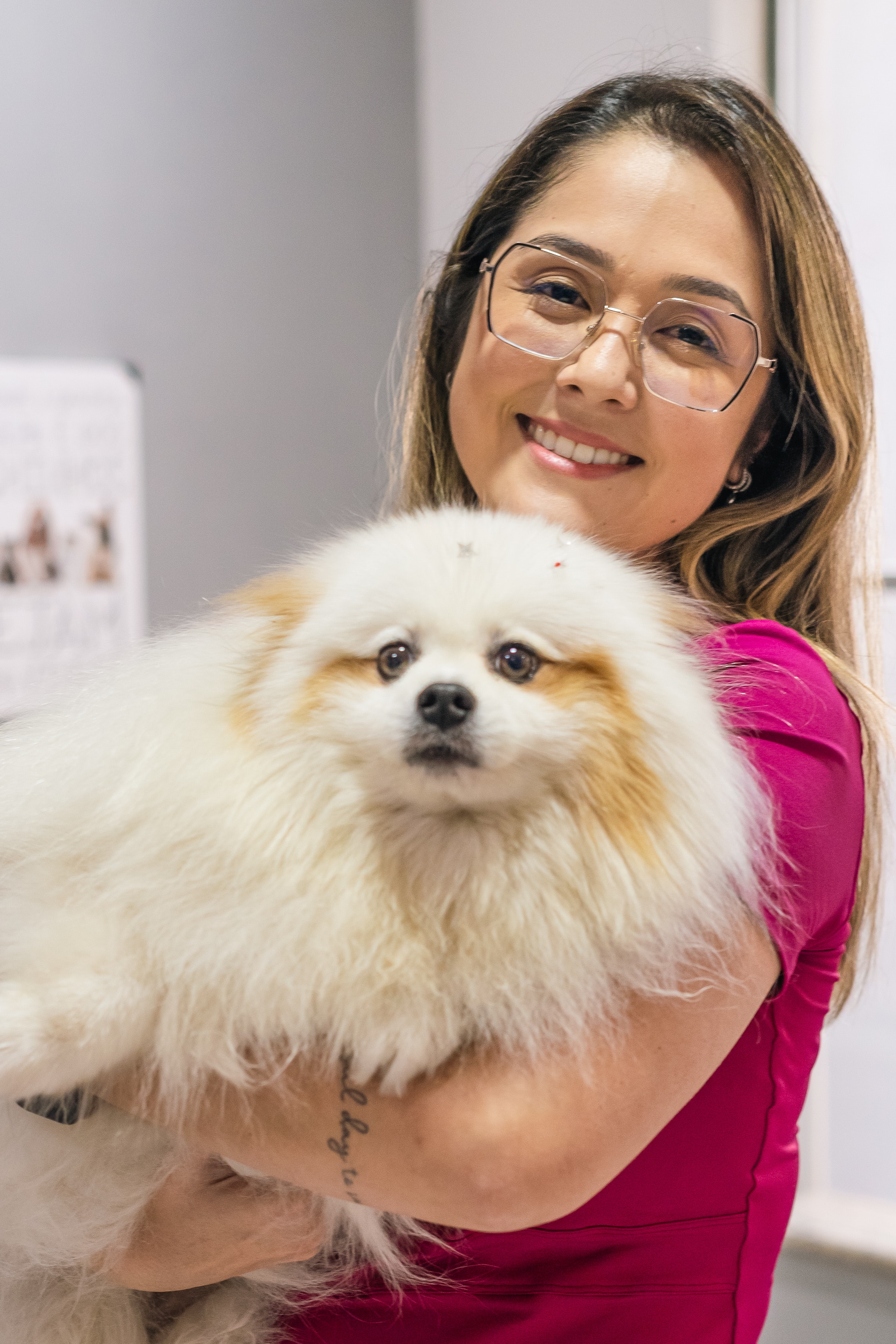 Living with a Shy or Fearful Dog