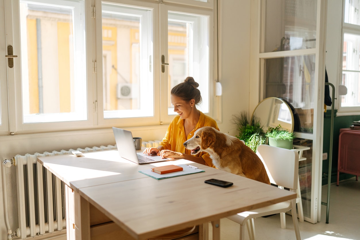 A photo showing a young woman working on a laptop next to three large windows. The sun is coming in through the windows. Her dog is sitting next to her.