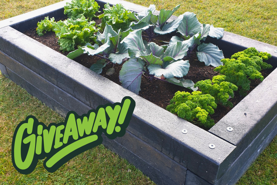 Show us your recycling ideas to win a Future Post garden bed!