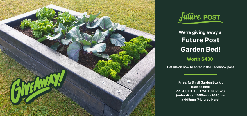 Show us your recycling ideas to win a Future Post garden bed!