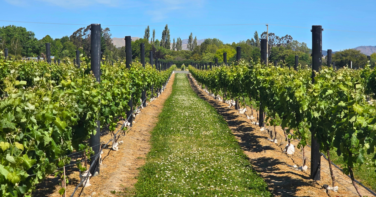 Future Post at WinePro 2026: Sustainable Vineyard Solutions for Marlborough