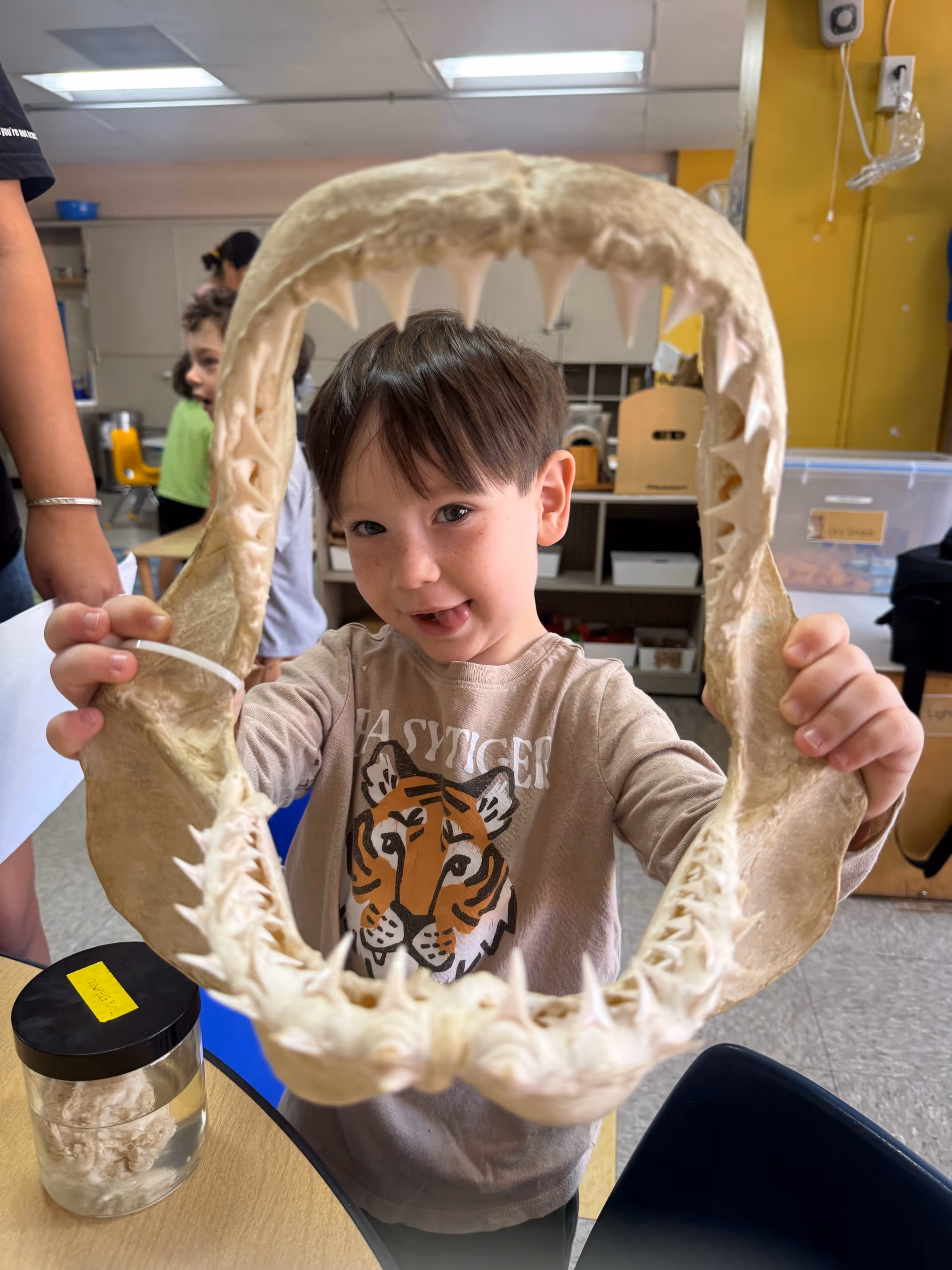 A child holding a large shark jaw