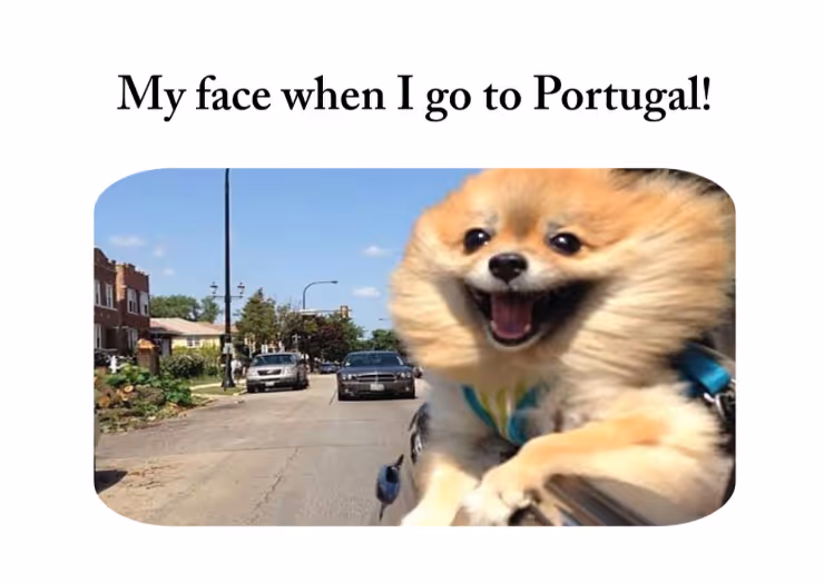 A fluffy Pomeranian dog with its head out of a moving car window, fur blowing in the wind, looking extremely happy. Caption reads: “My face when I go to Portugal!”