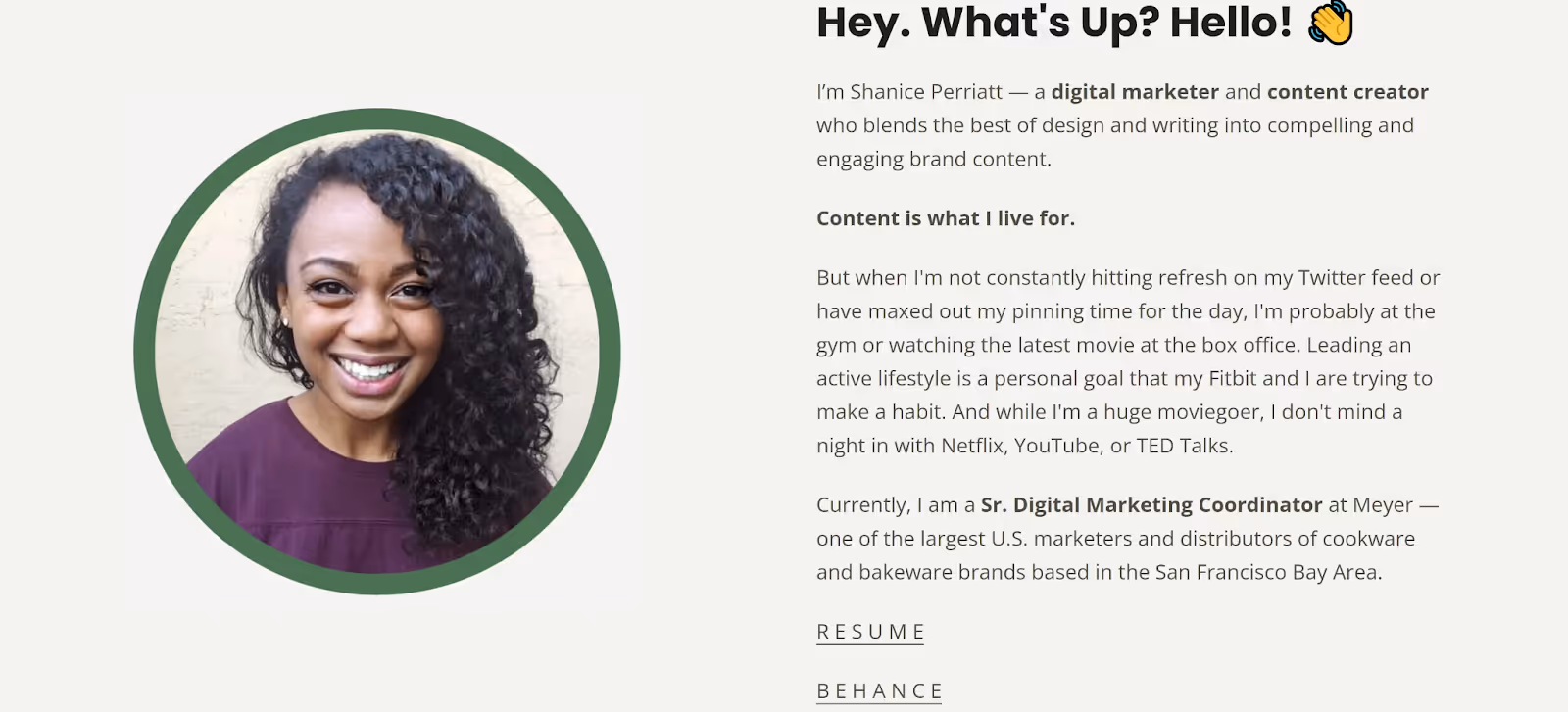 A sample digital marketer portfolio showing the profile of a digital marketer.
