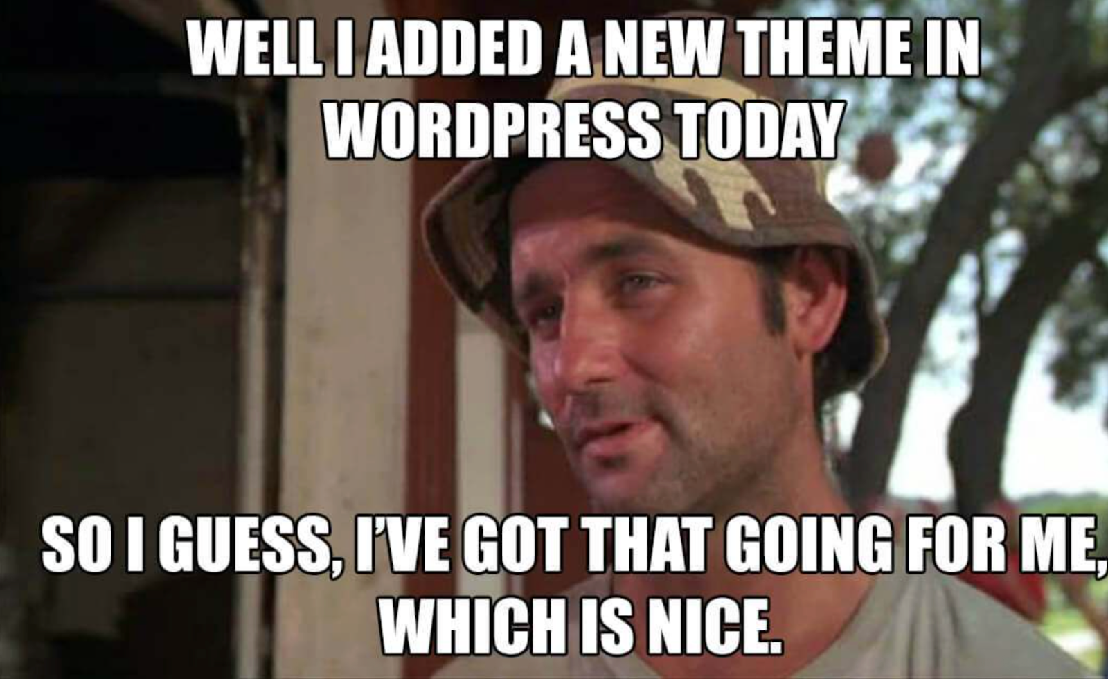 Meme about installing a new WordPress theme and feeling briefly accomplished.