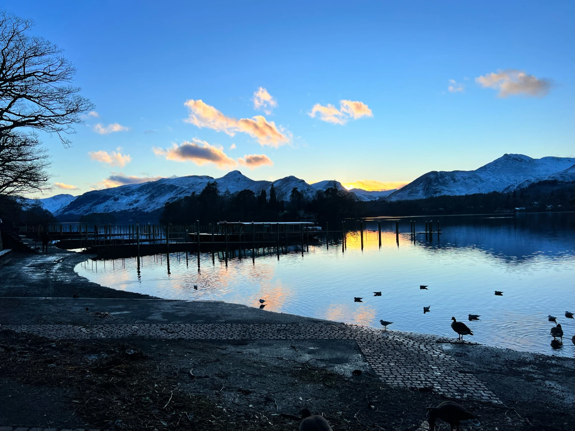 Ducks playing in the Northern Lakes of the Lake District with impressive hills in the distance.
