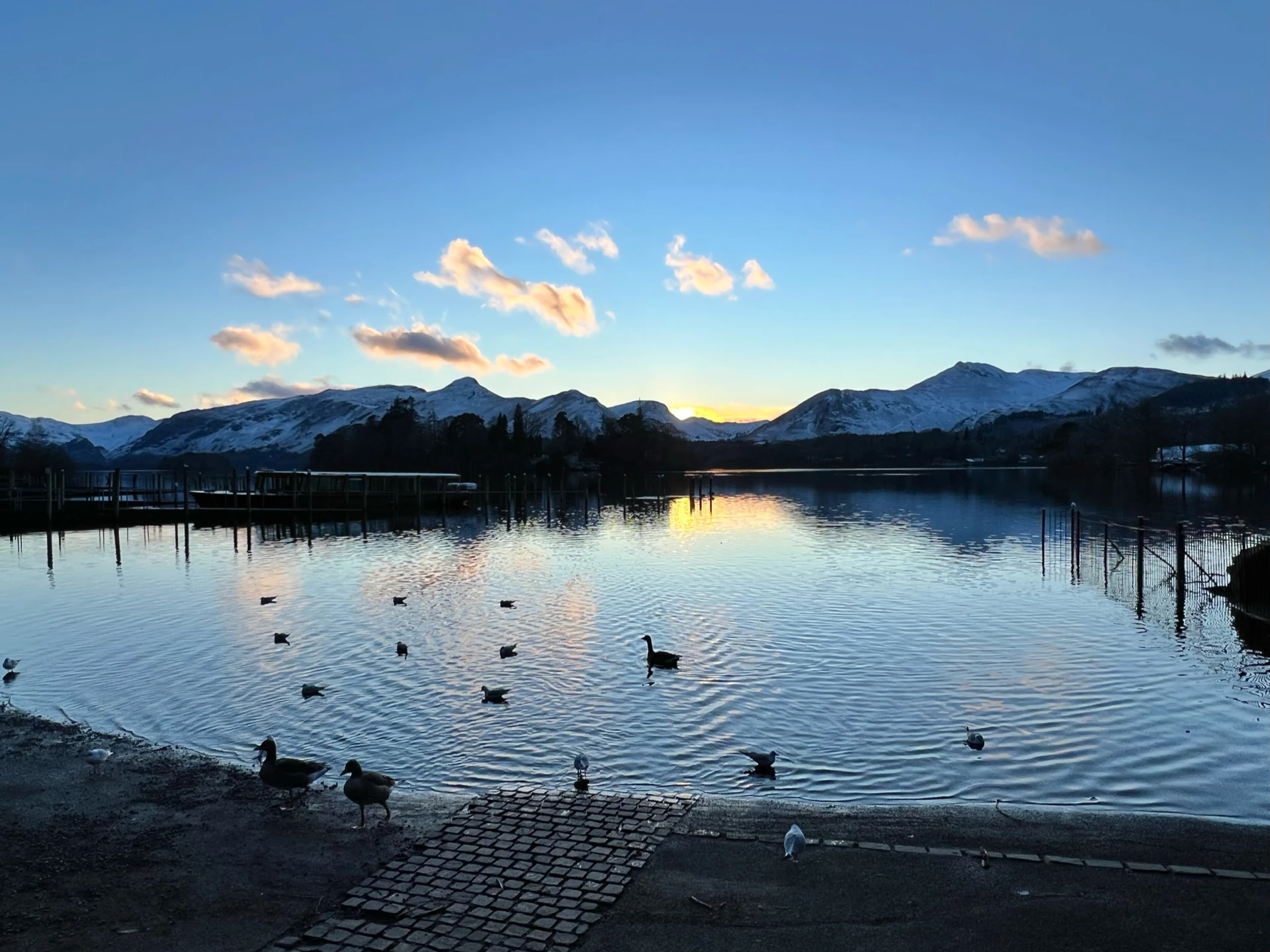 Ducks playing in the Northern Lakes of the Lake District with impressive hills in the distance.