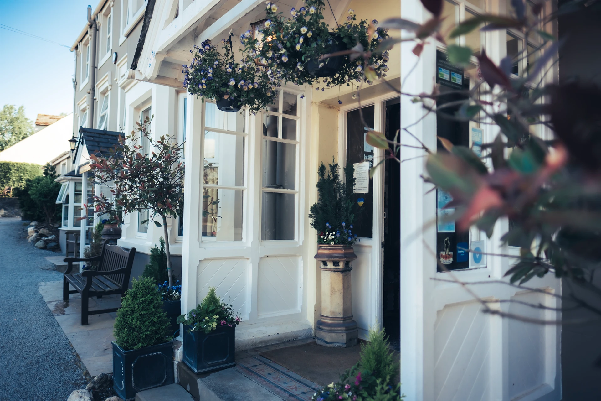 Street view of a quaint white storefront with a black bench outside. Hanging plants and greenery adorn the entrance. The building extends along a quiet road with more similar establishments.