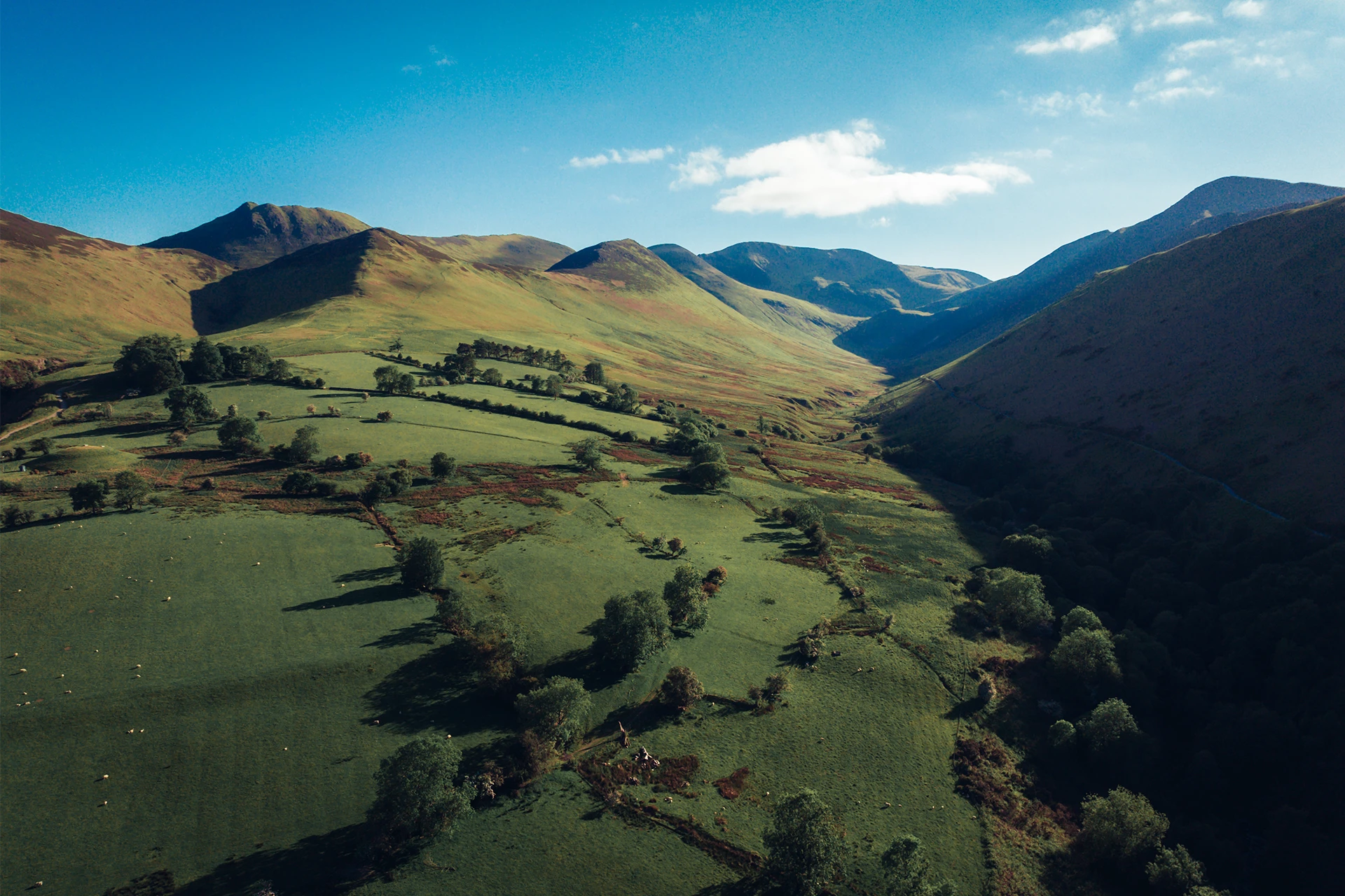 Aerial view of a lush green valley with rolling hills under a clear blue sky. Shadows from the hills create contrasts, emphasizing the texture and depth of the landscape. Sparse trees are scattered throughout the fields.