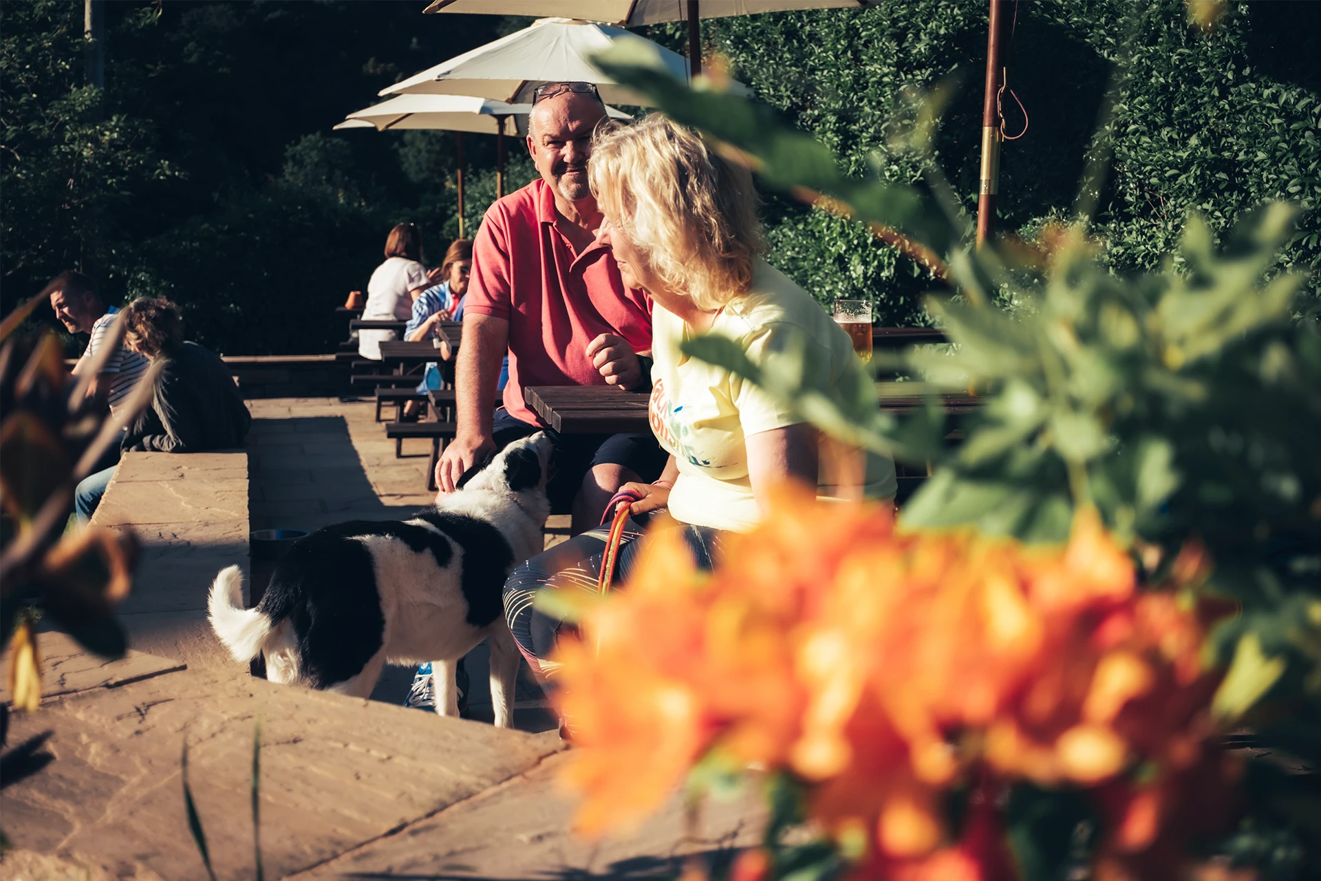 A man and a woman sit outdoors on a sunny day, with greenery in the background. They are both smiling and relaxed. A black and white dog is nearby. Bright orange flowers are in the foreground, slightly blurred.