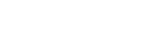 Logo BotCity branco