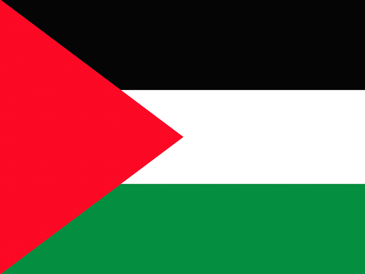 Palestine Flag