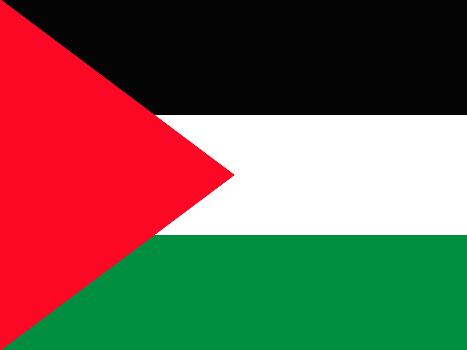 Palestine Flag | Made of Hemp