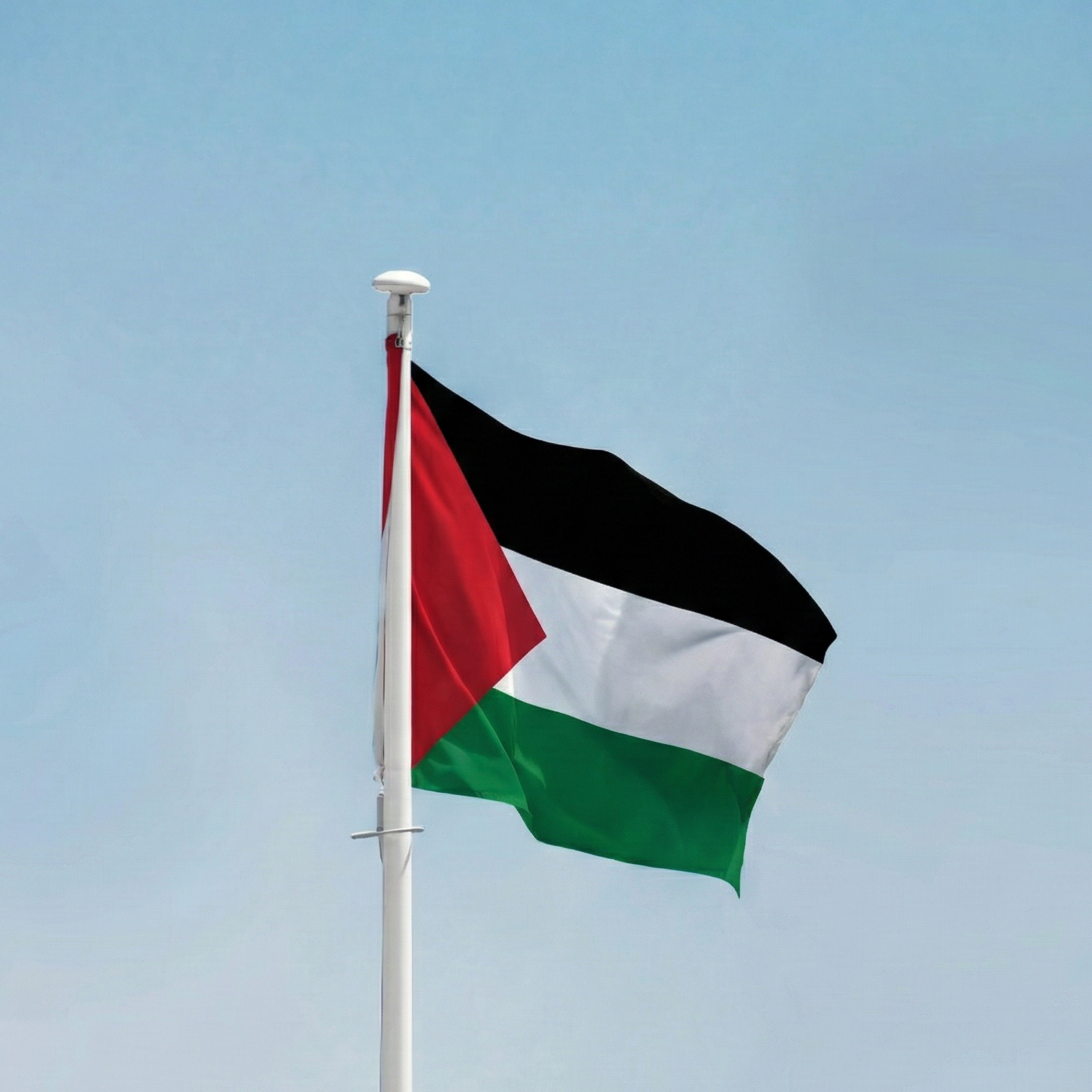 Palestine Flag - Hemptex®