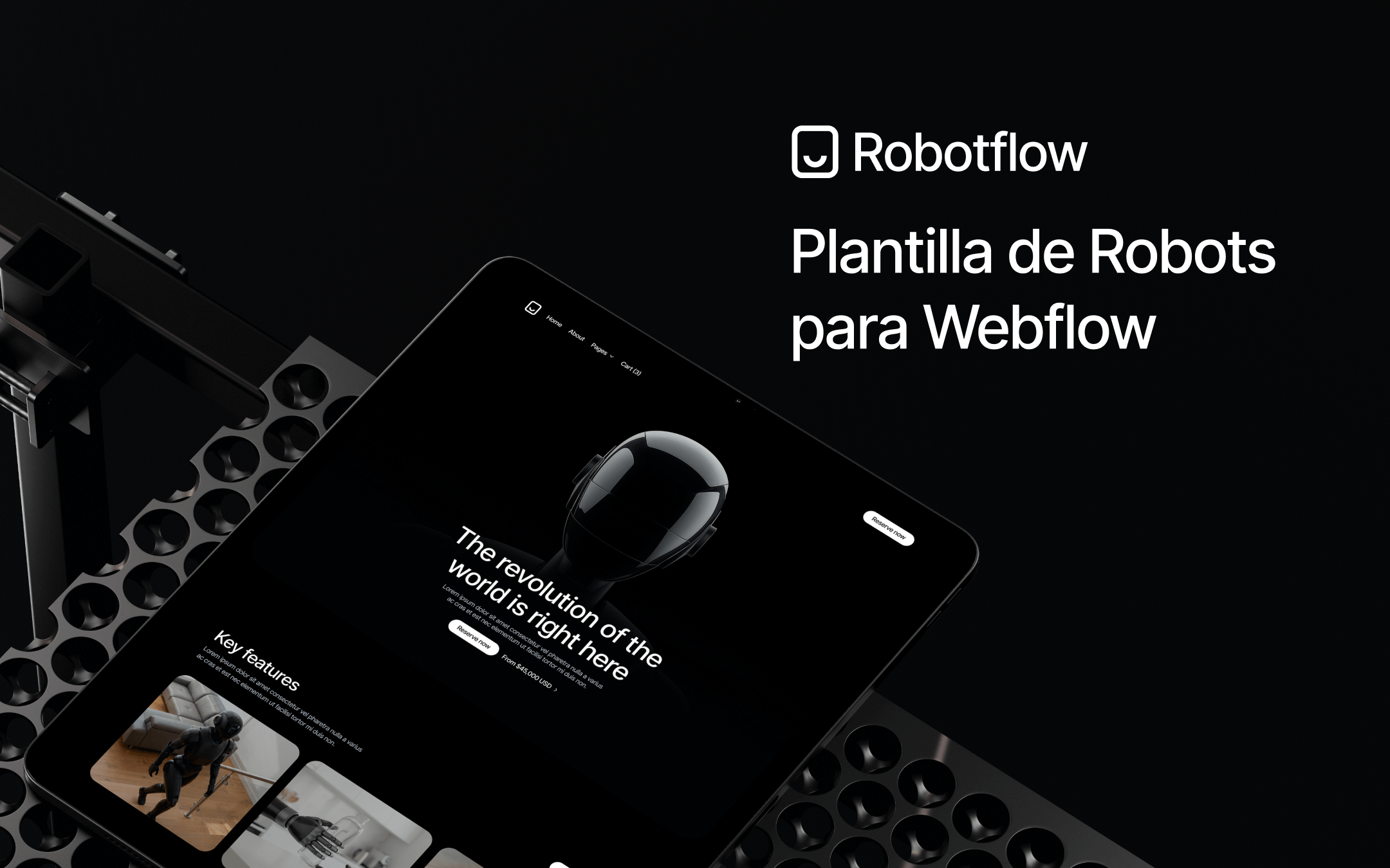 Plantilla de Robots para Webflow