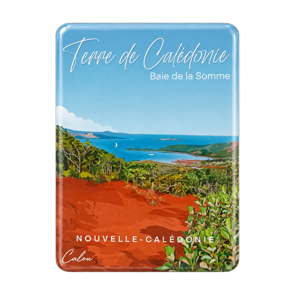 Baie De La Somme