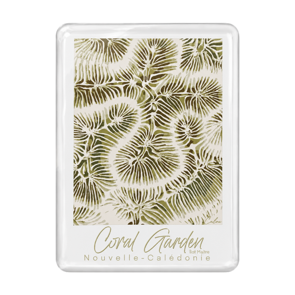 Coral Garden - îlot Maître
