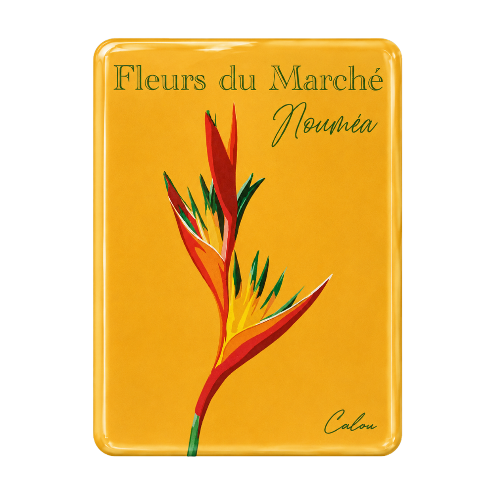 Heliconia psittacorum